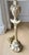 Mid 20th Century Rare Sirmos “Tête De Femme” Figural Table Lamp in the Style of Diego Giacometti With Original Silk String Shade For Sale - Image 11 of 12