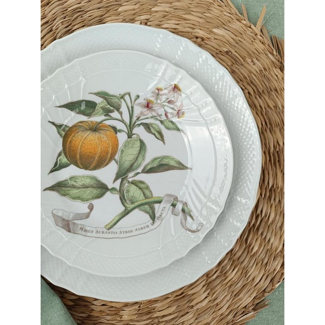 White China Dinner Service with a Botanical Print attributed to Munting Abraham from Richard Ginori, 1980s, Set of 30 For Sale - Image 8 of 18