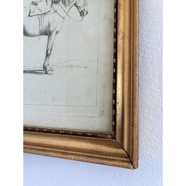 Wood Antique Original Horse Etchings, Circa 1700: Framed Equestrian Prints - a Pair For Sale - Image 7 of 15