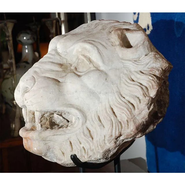 17th Century, Carrera Marble Lion Fountain Head For Sale - Image 4 of 8