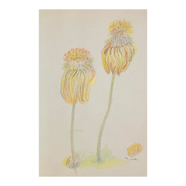 1970s Myriam Cahn Floral Drawing For Sale
