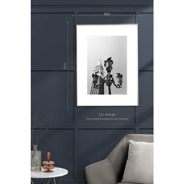 Not Yet Made - Made To Order Paul Cooklin, Pigeons, Saint Marks Square, Edition of 50 For Sale - Image 5 of 7