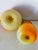 1960s American Glass Blown Fruits Apple and Pear Paperweights For Sale - Image 4 of 4