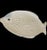Large Fitz & Floyd Fish Platter For Sale - Image 9 of 11