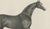 Gold After Chalon, Thoroughbred Stallion Selim, Arabian Bloodlines, 1840, Lithograph For Sale - Image 8 of 9