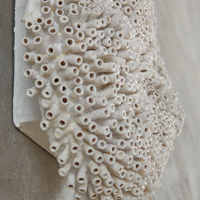 Round Form by Erin Vincent, 2024 For Sale In Chicago - Image 6 of 8