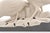 Art Deco Ceramic Two Pheasants from Manufacture De Sainte-Radegonde, France, 1930 For Sale - Image 9 of 12