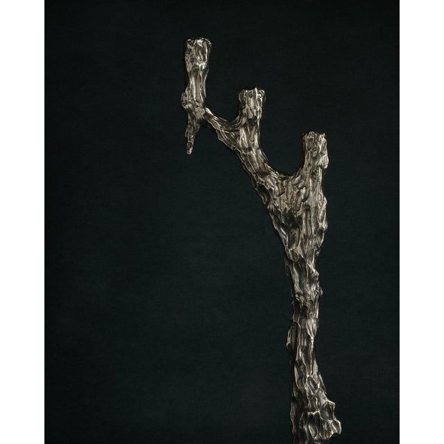 Contemporary Omnia Vanitas Vanité 19 Candelabra in Patinated Cast Bronze by William Guillon For Sale - Image 3 of 12