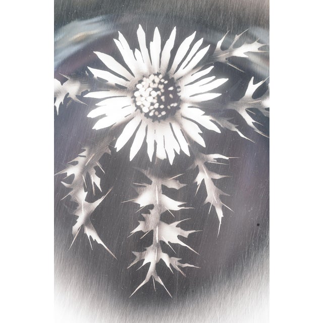 Black Silvered and Painted Wall Decoration by WMF Ikora, Germany, 1930s For Sale - Image 8 of 11