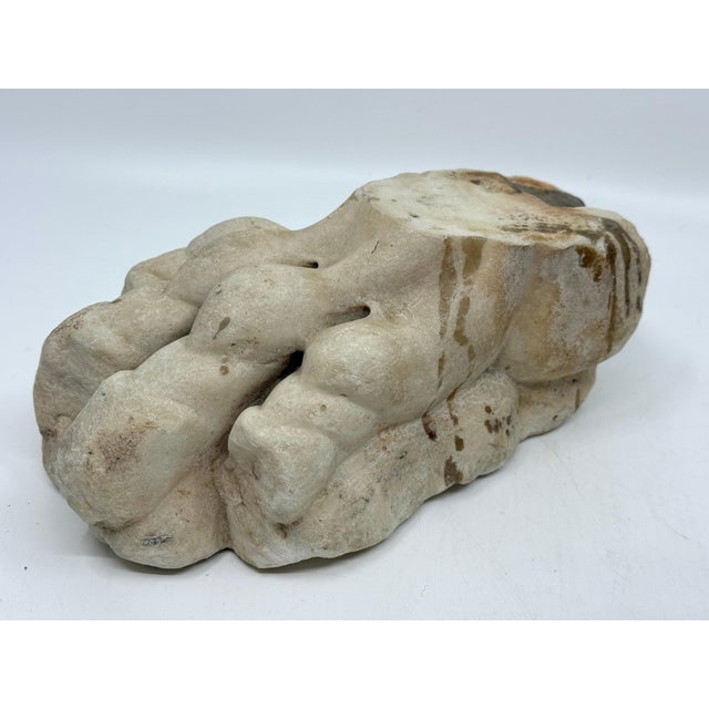 Stone Antique Classical Marble Stone Fragment Lions Claw For Sale - Image 7 of 16
