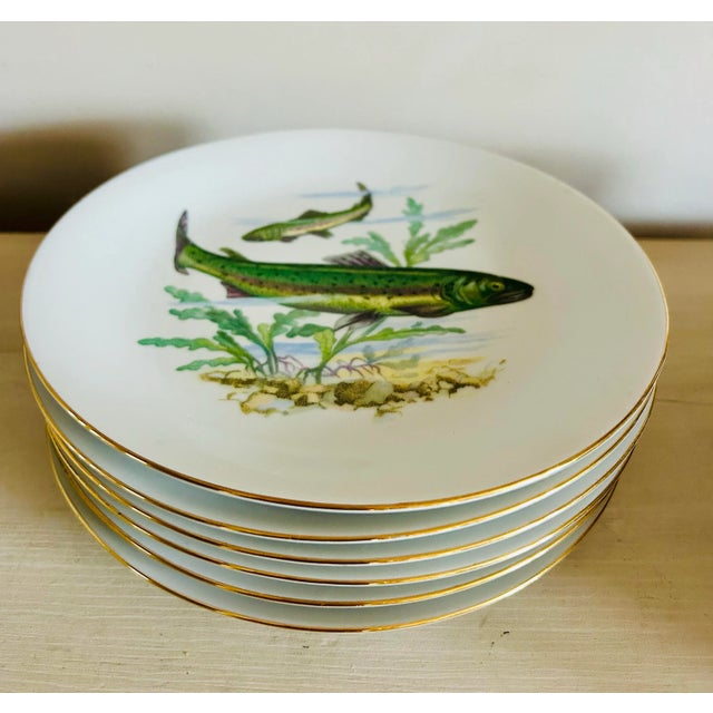 Vintage Set of 6 Trout Fish Design Appetizer Plates ~ Barvaria For Sale - Image 11 of 11