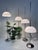 Height-Adjustable Mushroom Floor Lights with Chromed Tulip Bases by Frank Bentler for Wila Leuchten, West Germany, 1960s, Set of 4 For Sale - Image 13 of 18