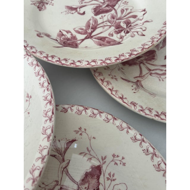 Antique 19th Century Plates in Ironstone Red Honeysuckle and Earthenware from Gien, 1890s, Set of 6 For Sale - Image 5 of 8