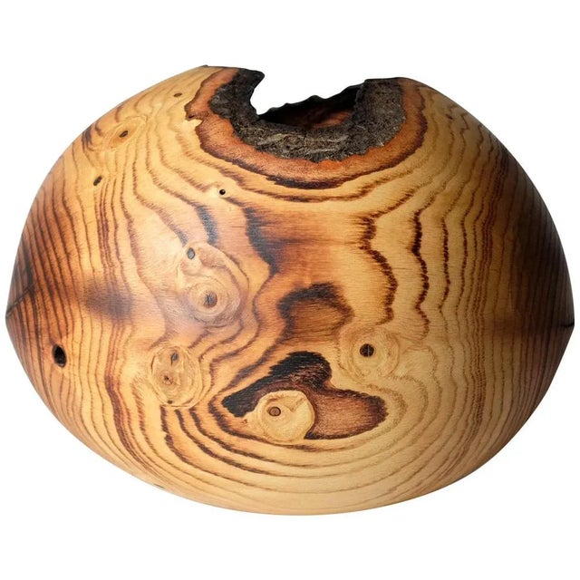 Qercus Rubra #1 by Marco Bellini For Sale - Image 11 of 11