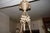 Glass Antique Bronze and Pâte De Verre Chandelier, 1900s For Sale - Image 7 of 8