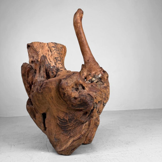 Japanese Koboku Root Wood Sculpture, 1960s For Sale - Image 10 of 16