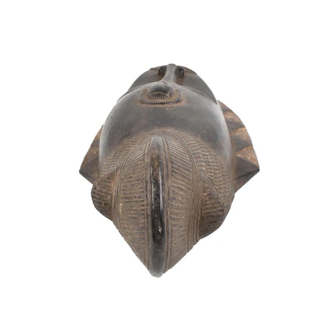 Early 20th Century Early 20th Century Djimini Do Society Mask Côte d'Ivoire For Sale - Image 5 of 7