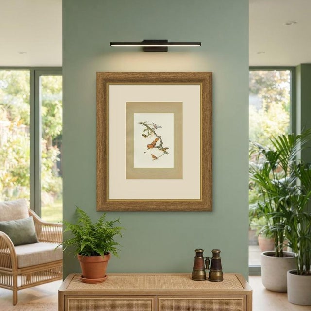 After Descourtilz, Hummingbirds, 1944, Print For Sale - Image 10 of 12