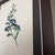 Printmaking Materials Antique Botanical Print of Morning Glory | 1818 French Hand-Colored Lithograph For Sale - Image 7 of 8