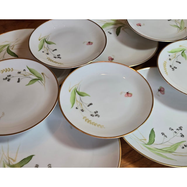 Chinoiserie Gold Rimmed Wildflower Plates- Set of 12 For Sale - Image 3 of 10