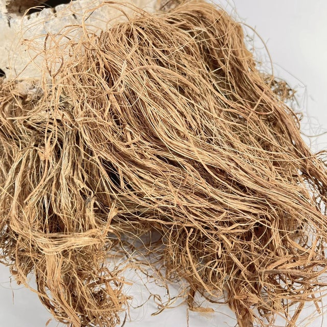 African Early 20th Century Lega Bearded Mask For Sale - Image 3 of 6