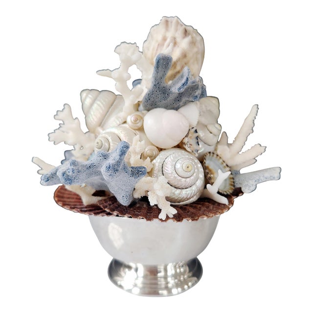 Handmade Coastal Seashell Sculpture – Seashell & Blue Ridge Coral Arrangement For Sale