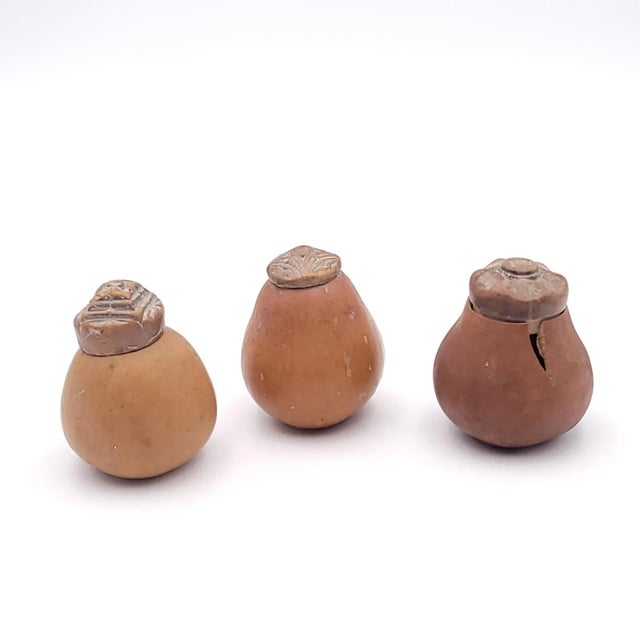 Group of Three Seed Pod Storage Containers, Probably Se Asian, 19th Century For Sale - Image 10 of 10