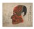 Not Yet Made - Made To Order Atelier Aria Lumae Traditional Japanese Kabuki Theater Face Masks Fine Art Gallery Board Five Piece Set For Sale - Image 5 of 18