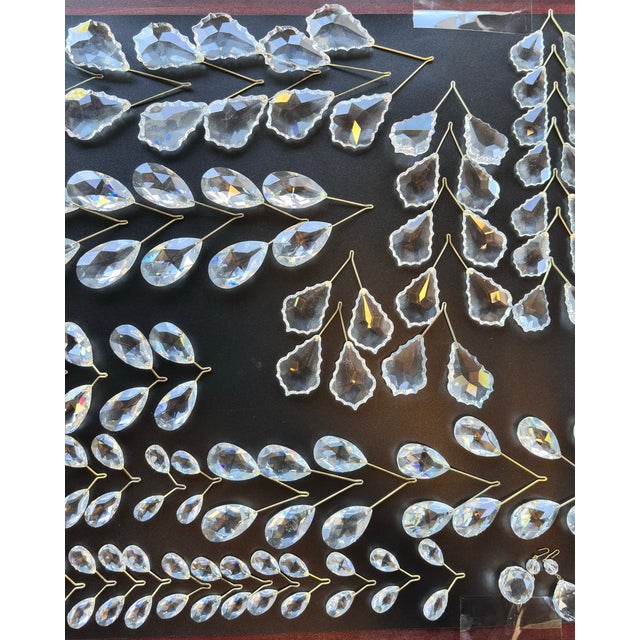 1980s Art Nouveau Schonbek Swarovski Primrose Crystal 14 Light Chandelier For Sale - Image 11 of 11