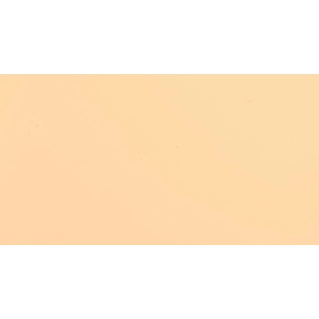 BACKDROP Standard Finish Interior Paint in Earthly Delights (Light Peach) - 1 Gallon For Sale - Image 4 of 5