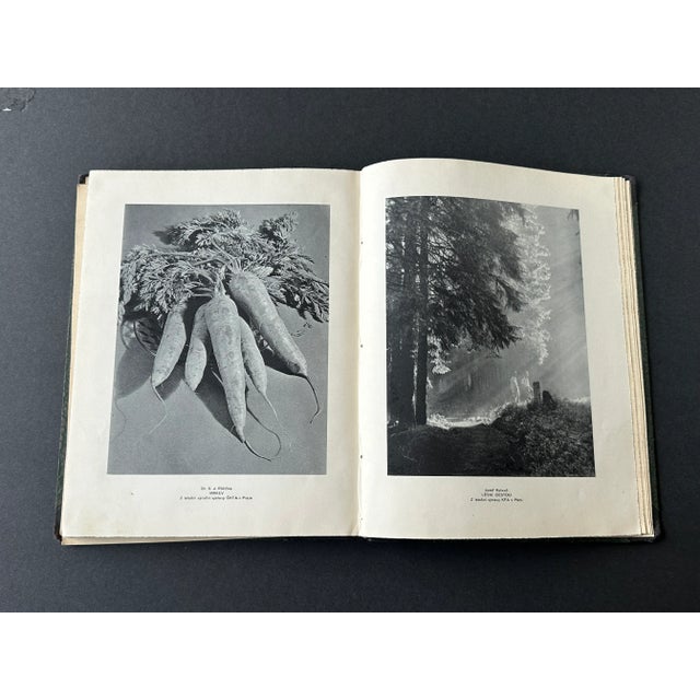 This vintage photography book is filled with beautiful photographs taken by members of the Czech Club of Amateur...