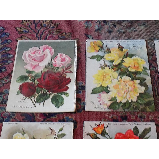 This set of twelve (12) antique botanical chromolithographs (each color laid in with a separate lithographic stone) were...