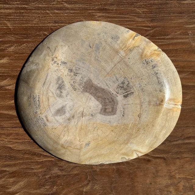 Beige Petrified Wood Trinket Tray or Dish, 1980s For Sale - Image 4 of 9