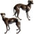 Magnificent pair of life-size bronze whippets or greyhounds. One male. The other female. Each features finely cast,...