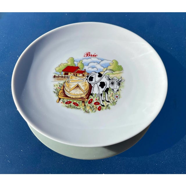 1970s Vintage Winterling Kitchenlomite Bavaria Porcelain Illustrated Cheese Plates- Set of 5 For Sale - Image 6 of 8