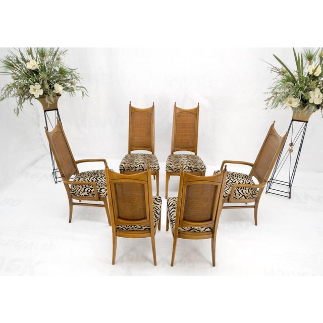 Set of 6 cane tall back pecan Mid-Century Modern chairs mint! Natural organic Safari pattern upholstery.