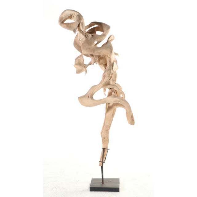 Tan Monumental Teak Root Sculpture 7' Tall For Sale - Image 8 of 18