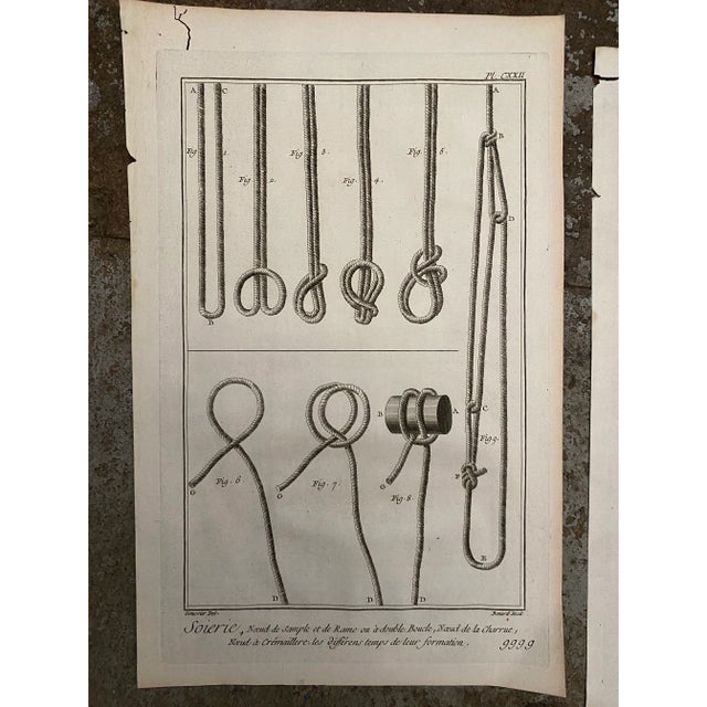 Antique 18th Century Knot Engravings - Set of Five For Sale - Image 6 of 7