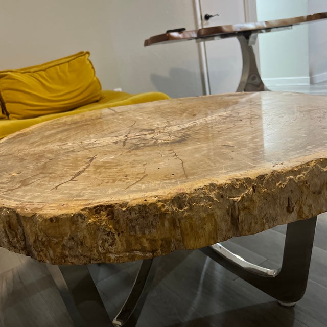 Contemporary 1990s Petrified Wood Coffee Table For Sale - Image 3 of 12