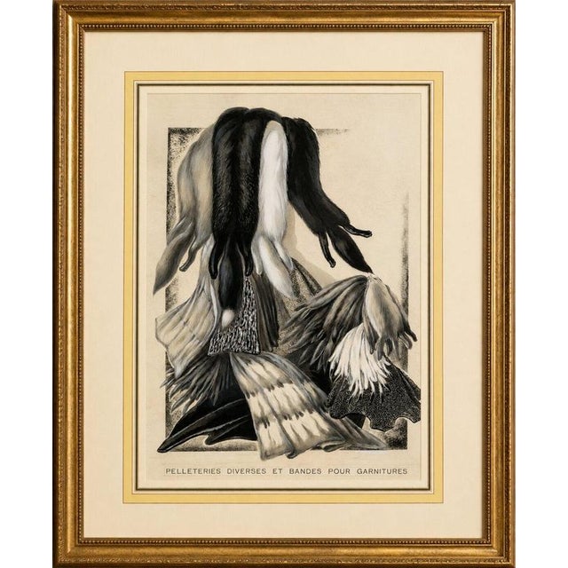 Title: french art nouveau fashion design of fur pelts and trimmings, c.1910 description: original early 20th-century...