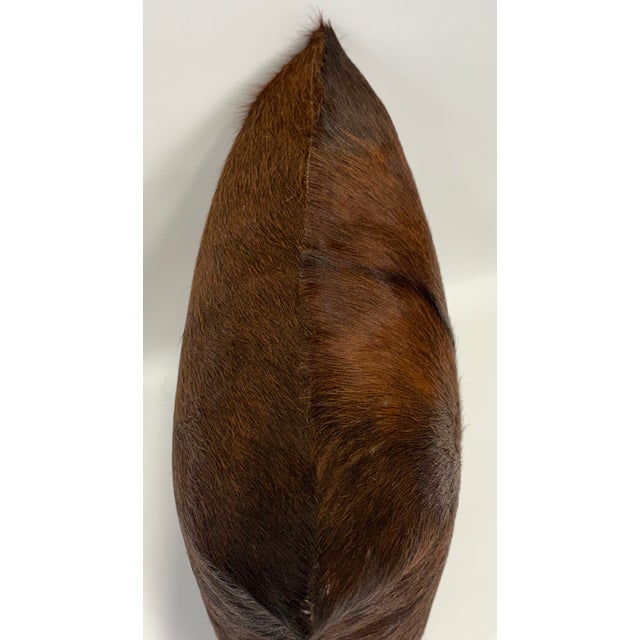 Animal Skin Reversible 16” X 16” Premium Brazilian Watusi Cowhide Pillow Cover – Sculptural Spine Composition - Handcrafted by Pablo Sota Designs. For Sale - Image 7 of 11