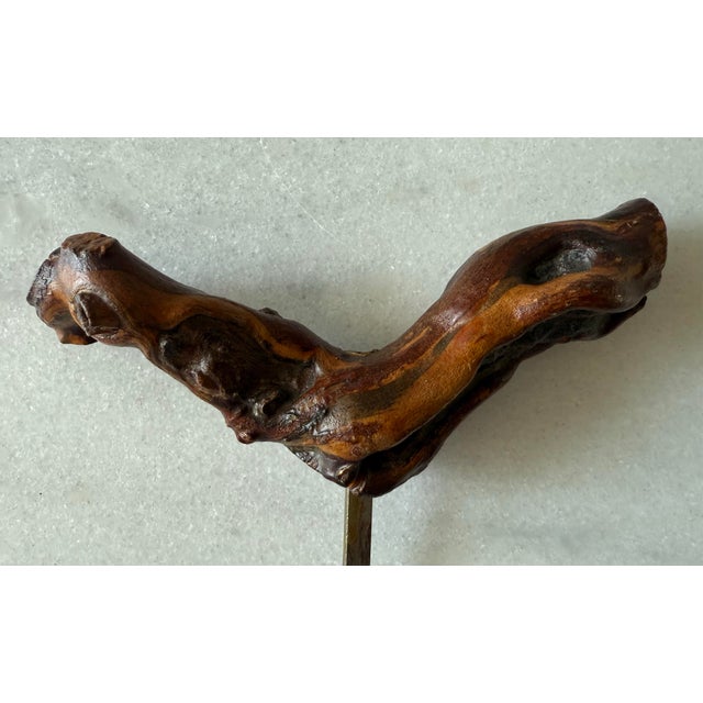 Vintage French Grapevine Corkscrew For Sale - Image 4 of 6