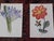 Authentic Antique 19th Century Edward Hulme Botanical "Garden Flowers" Lithographs - Set of 12 - Super Price! For Sale - Image 4 of 9