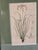 Framed Botanical Print Trio Wall Art Pink Floral Engraving Style Panels Vintage Inspired For Sale - Image 4 of 6