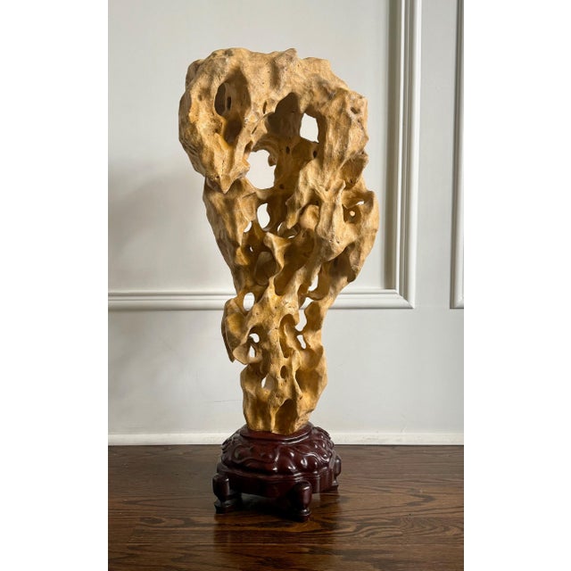 Extraordinary Large Chinese Scholar Rock Yellow Taihu Stone on Wood Stand For Sale - Image 10 of 18