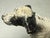 Vintage Hubley Cast Iron English Setter or Pointer Dog Doorstop For Sale - Image 15 of 17