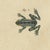 Bertuch, Four Colourful Tree Frogs, 1815, Print For Sale - Image 9 of 12