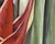2000s "Red Ginger" Gallery Wrapped Oil Painting by Judith Moore For Sale In Saint Louis - Image 6 of 10