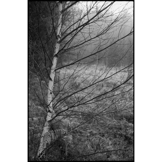 Not Yet Made - Made To Order Paul Cooklin, Scan 20211222 93, Edition of 50 For Sale - Image 5 of 5