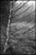Not Yet Made - Made To Order Paul Cooklin, Scan 20211222 93, Edition of 50 For Sale - Image 5 of 5